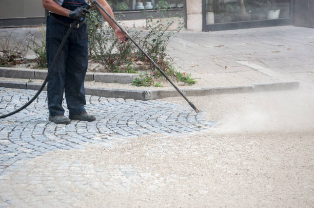 Best Animal Enclosure Cleaning  in Manheim, PA